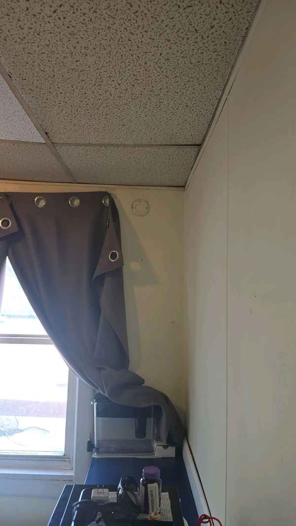 Preview of an inspector's photograph showing staining along a living-room wall beside a window.